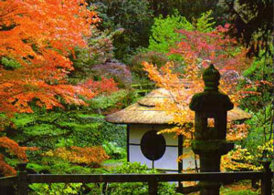 Serene Gardens book